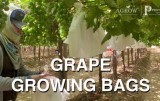 AGROW Protect+ Grape Growing Bags Features