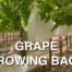 AGROW Protect+ Grape Growing Bags Features