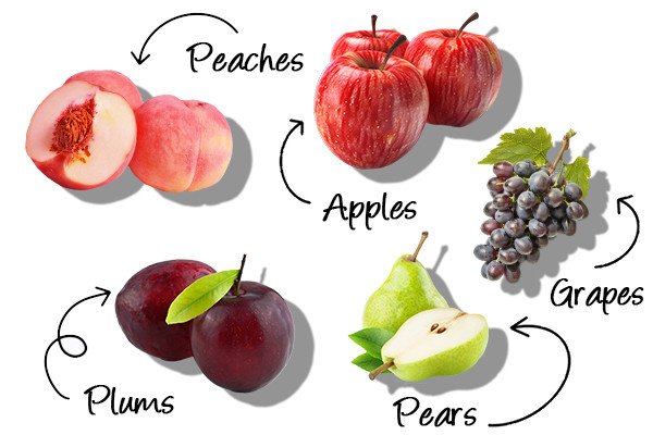 Characteristics Of Stone Fruits And Key Points Of Planting Stone Fruits ...