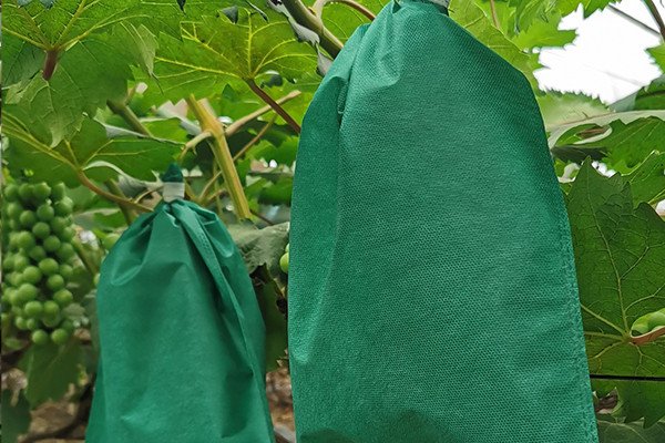 Non-woven mesh bags