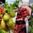 January 2025 Fruit Industry Trends and Highlights - Mid